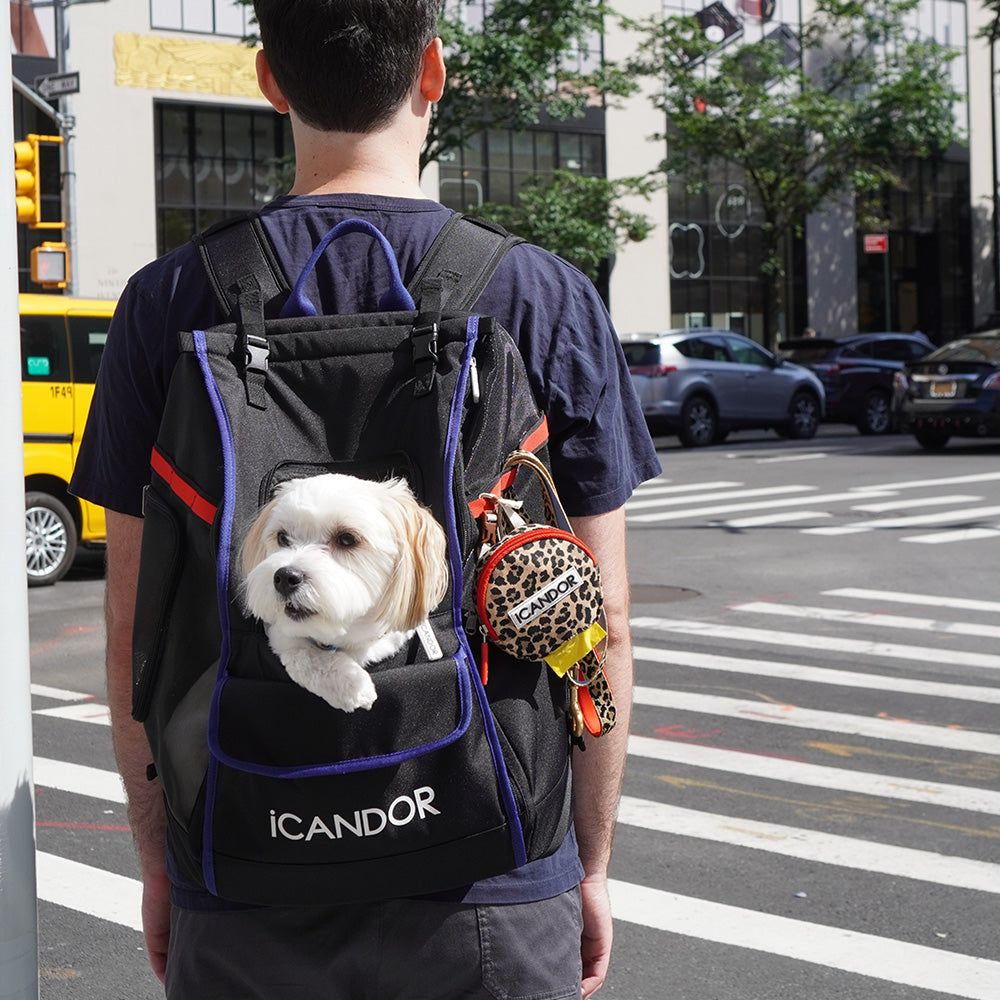JIGE Bag_Dynamic Black