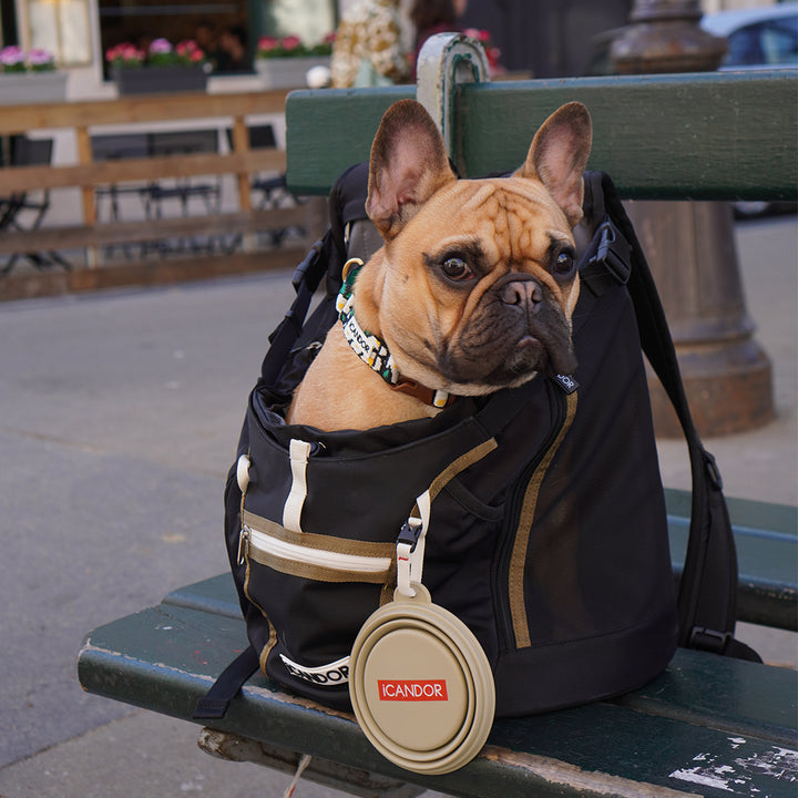 JIGE AB Bag_Woody Black